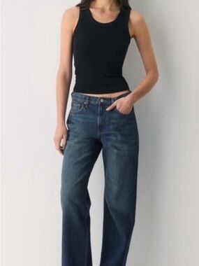 Aritzia Denim Forum Iggy 90’s Low Rise Baggy